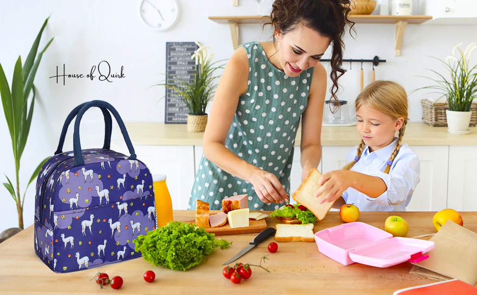 House Quirk Insulated Organizer Portable